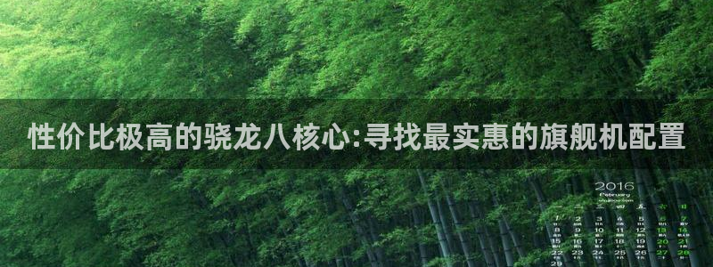 极悦平台集团：性价比极高的骁龙八核心:寻找最实惠的旗舰机配置