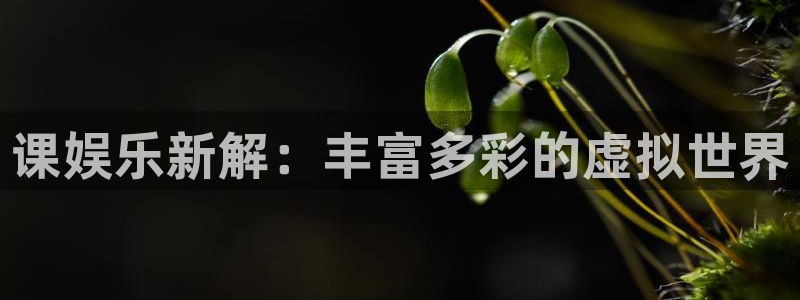 极悦平台娱乐：课娱乐新解：丰富多彩的虚拟世界