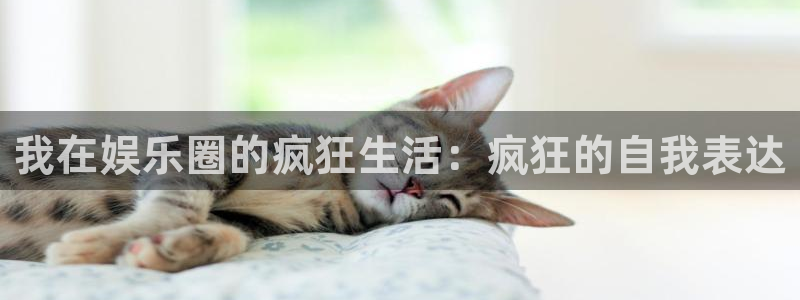 极悦平台哪个游戏好爆：我在娱乐圈的疯狂生活：疯狂的自我表达