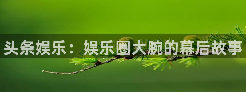 极悦平台f凯捷注册：头条娱乐：娱乐圈大腕的幕后故事