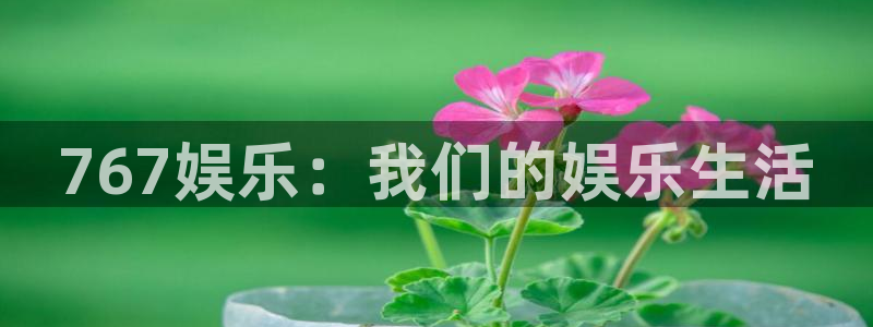 极悦平台集团股票：767娱乐：我们的娱乐生活