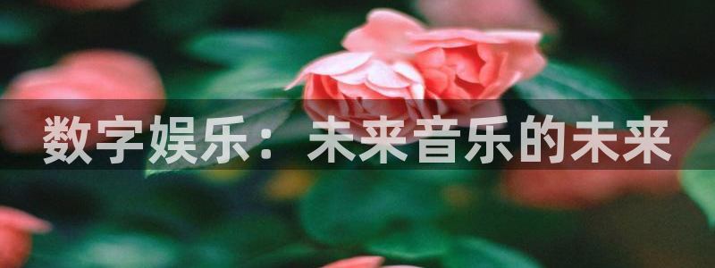 极悦平台注册入口与教程：数字娱乐：未来音乐的未来
