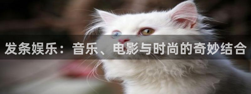 极悦平台vk：发条娱乐：音乐、电影与时尚的奇妙结合