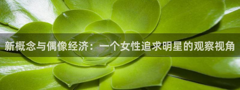 极悦平台下载入口：新概念与偶像经济：一个女性追求明星的观察视角