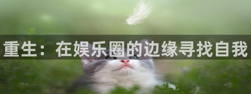 极悦平台下载地址：重生：在娱乐圈的边缘寻找自我