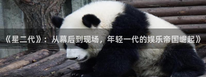 极悦平台平台官方入口下载：《星二代》：从幕后到现场，年轻一代的娱乐帝国崛起》