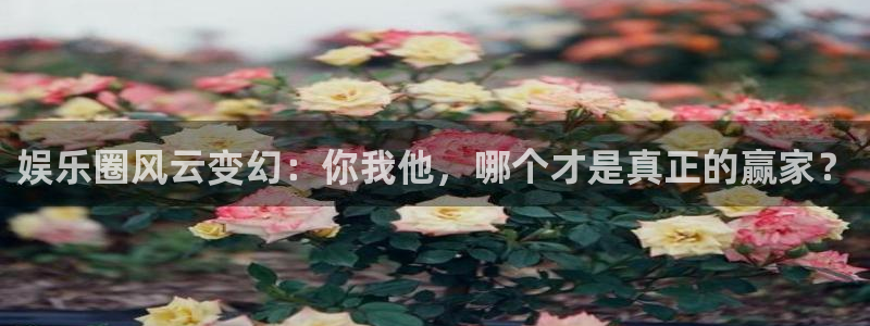 极悦平台2体育登录入口：娱乐圈风云变幻：你我他，哪个才是真正的赢家？