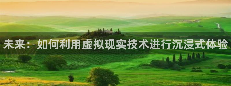 极悦平台平台：未来：如何利用虚拟现实技术进行沉浸式体验