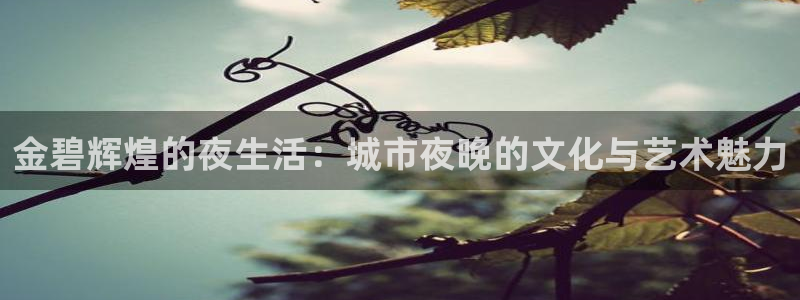 极悦平台登录注册：金碧辉煌的夜生活：城市夜晚的文化与艺术魅力