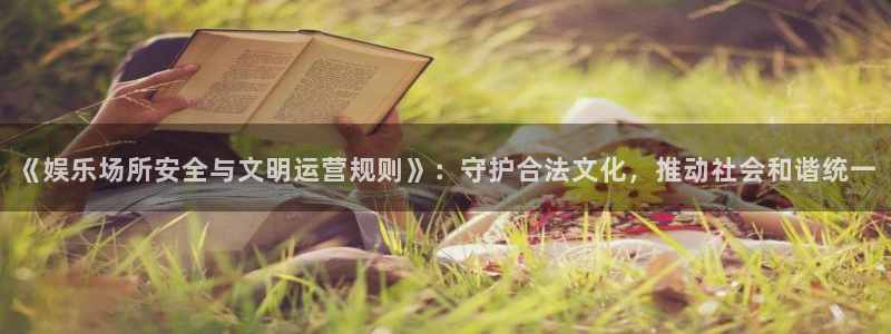 极悦平台体育2官网入口：《娱乐场所安全与文明运营规则》：守护合法文化，推动社会和