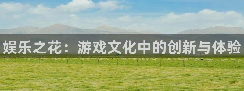 极悦平台电子游戏网页版：娱乐之花：游戏文化中的创新与体验