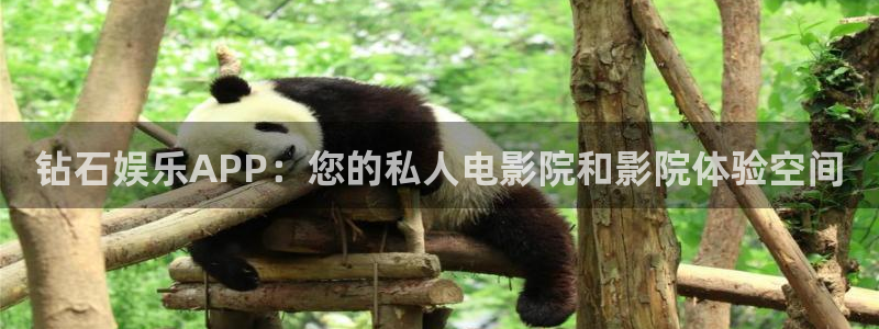 极悦平台4平台注册：钻石娱乐APP：您的私人电影院和影院体验空间