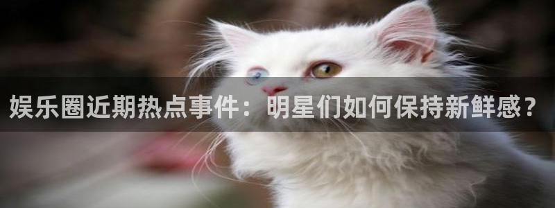 极悦平台登录界面入口：娱乐圈近期热点事件：明星们如何保持新鲜感？