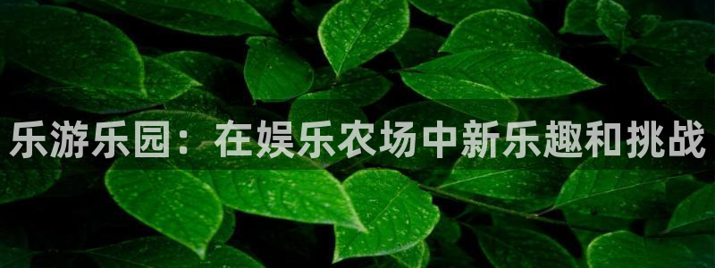 极悦平台登陆：乐游乐园：在娱乐农场中新乐趣和挑战