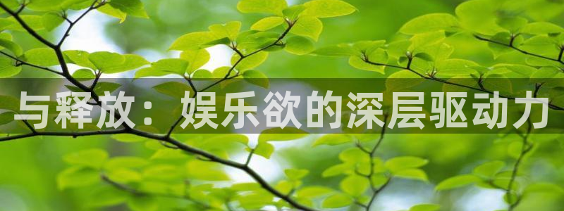极悦平台凯捷平台注册链接：与释放：娱乐欲的深层驱动力