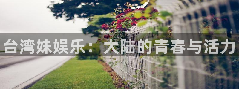极悦平台平台在线开户：台湾妹娱乐：大陆的青春与活力