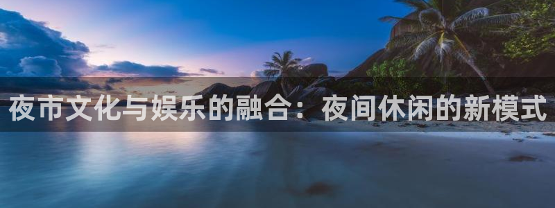 极悦平台2登录入口：夜市文化与娱乐的融合：夜间休闲的新模式