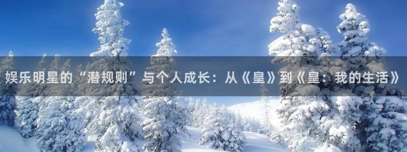 福建极悦平台机电股份公司：娱乐明星的“潜规则”与个人成长：从《皇》到《皇：我的生