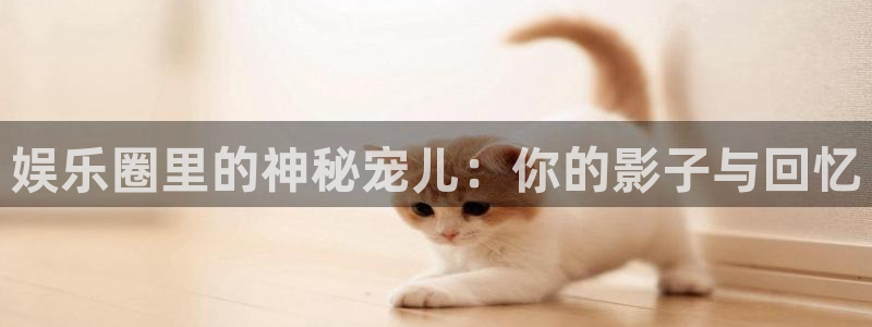 极悦平台下载链接：娱乐圈里的神秘宠儿：你的影子与回忆