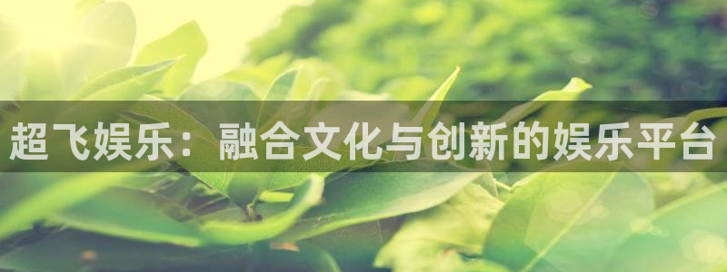 极悦平台体育f开号：超飞娱乐：融合文化与创新的娱乐平台