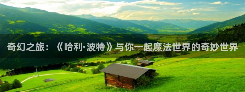 成都极悦平台电子有限公司：奇幻之旅：《哈利·波特》与你一起魔法世界的奇妙世界