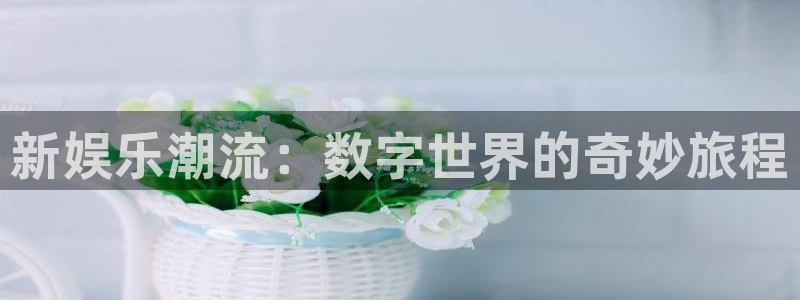 极悦平台体育凯捷平台招商：新娱乐潮流：数字世界的奇妙旅程