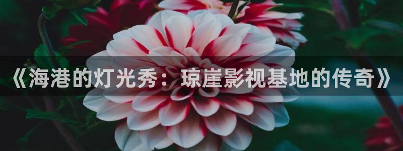 极悦平台网站平台登录：《海港的灯光秀：琼崖影视基地的传奇》