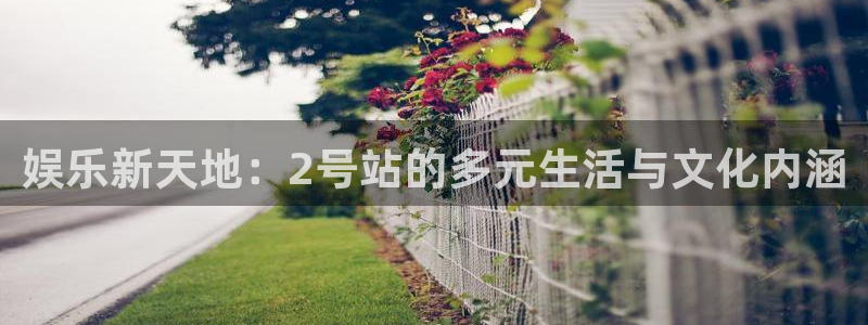 极悦平台体育用品：娱乐新天地：2号站的多元生活与文化内涵