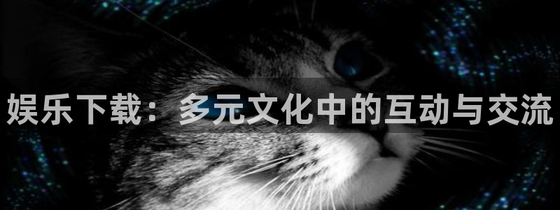 极悦平台2体育：娱乐下载：多元文化中的互动与交流