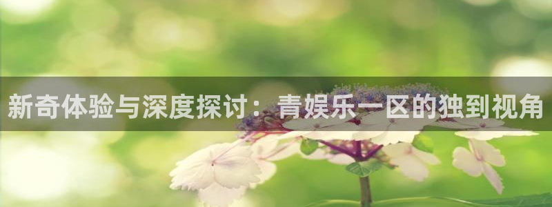极悦平台麻将胡了：新奇体验与深度探讨：青娱乐一区的独到视角