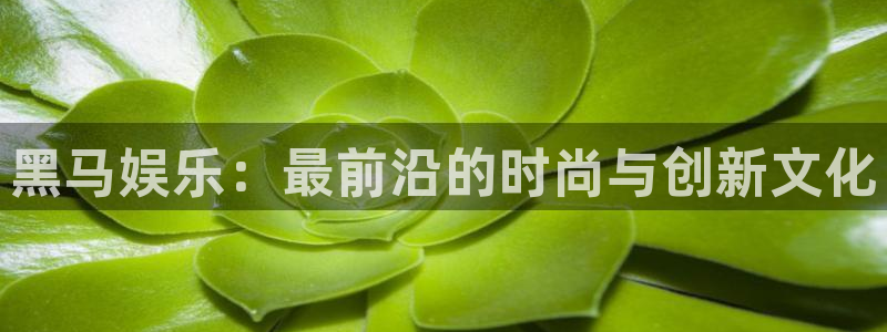 极悦平台下载并安装：黑马娱乐：最前沿的时尚与创新文化